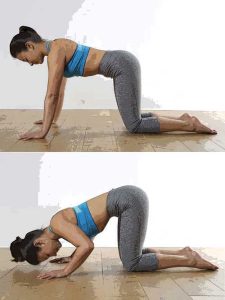 box-press-up-500-by-667